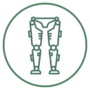 Exoskeleton & Gait Training